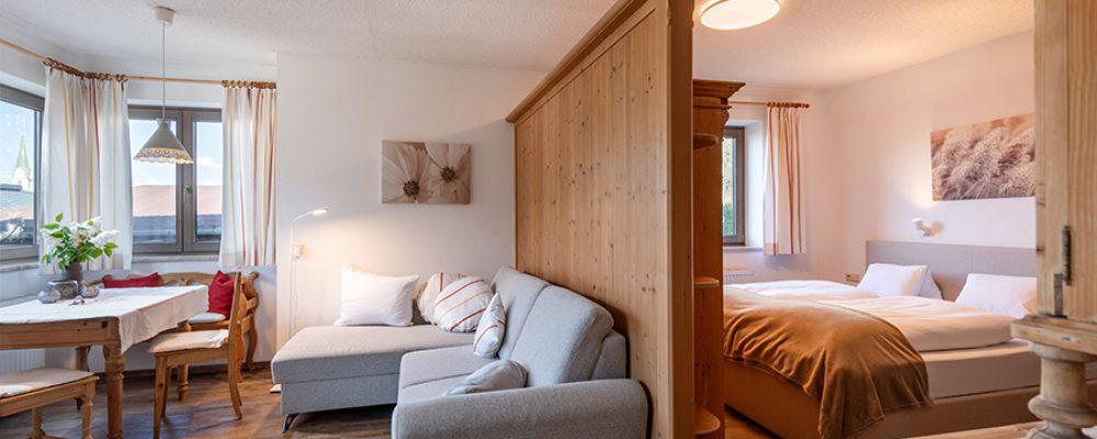 Haus_Alpin_Appartement_8_Wohnraum Haus_Alpin_Appartement_8_Wohnraum